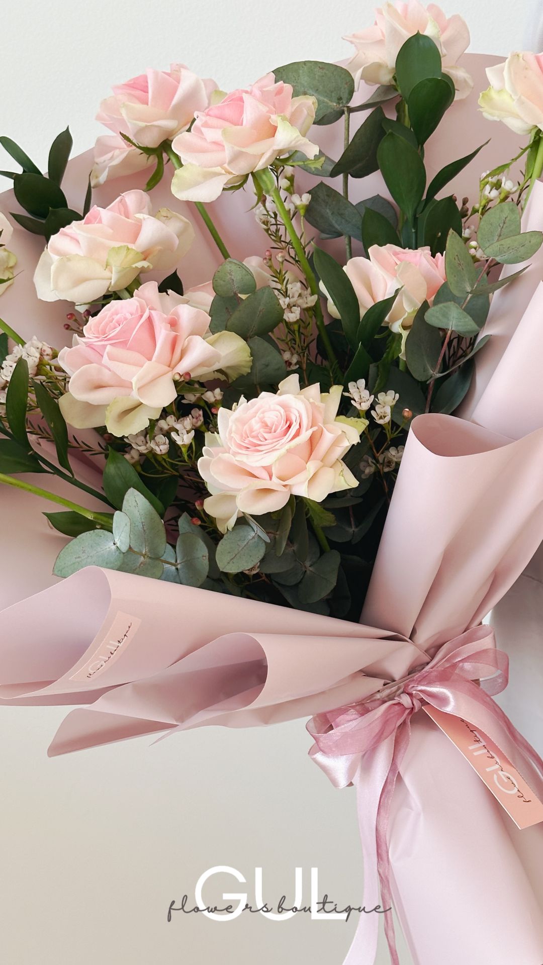 Blush Beauty
