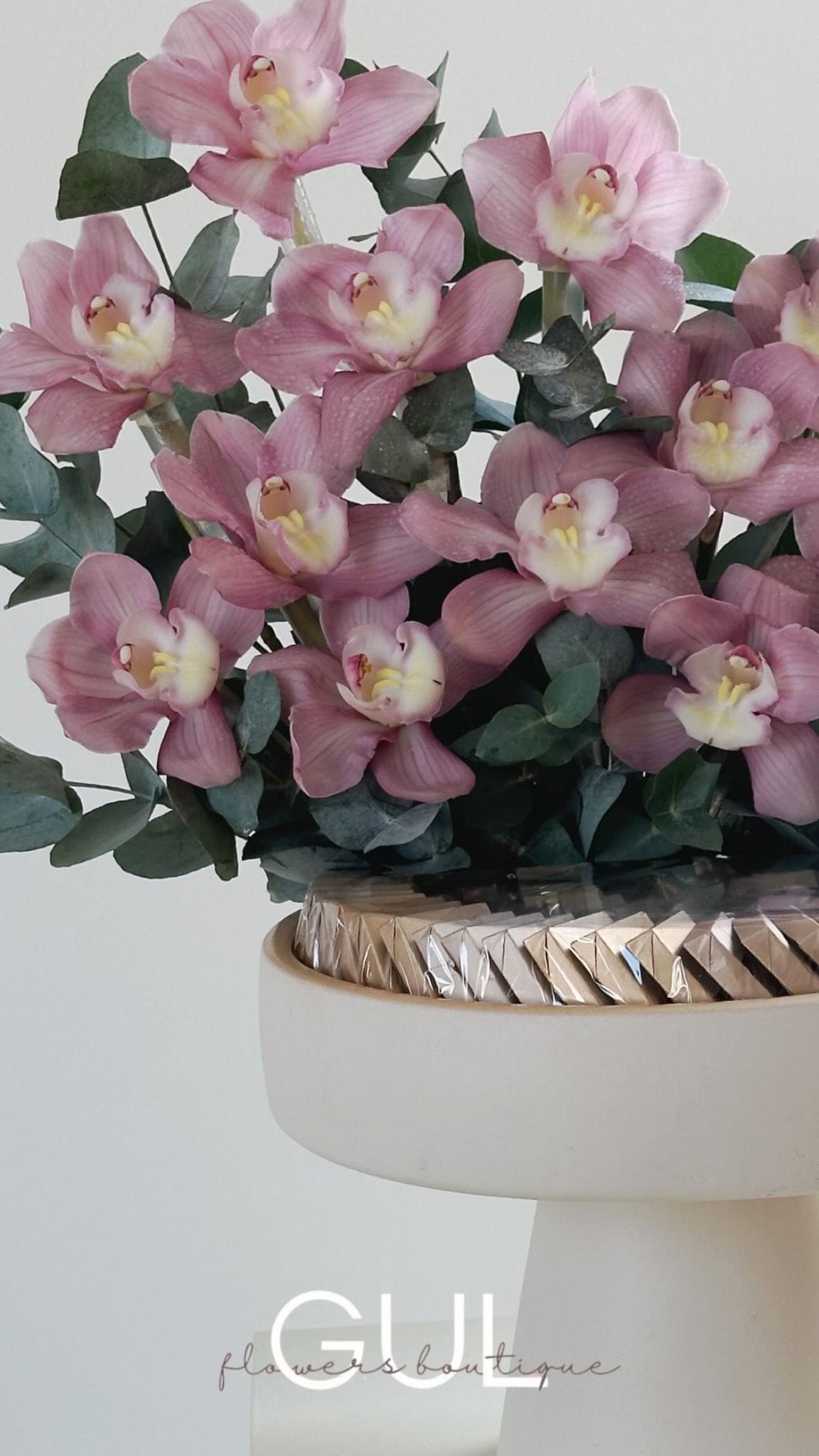 Blooming Chocolate Dreams