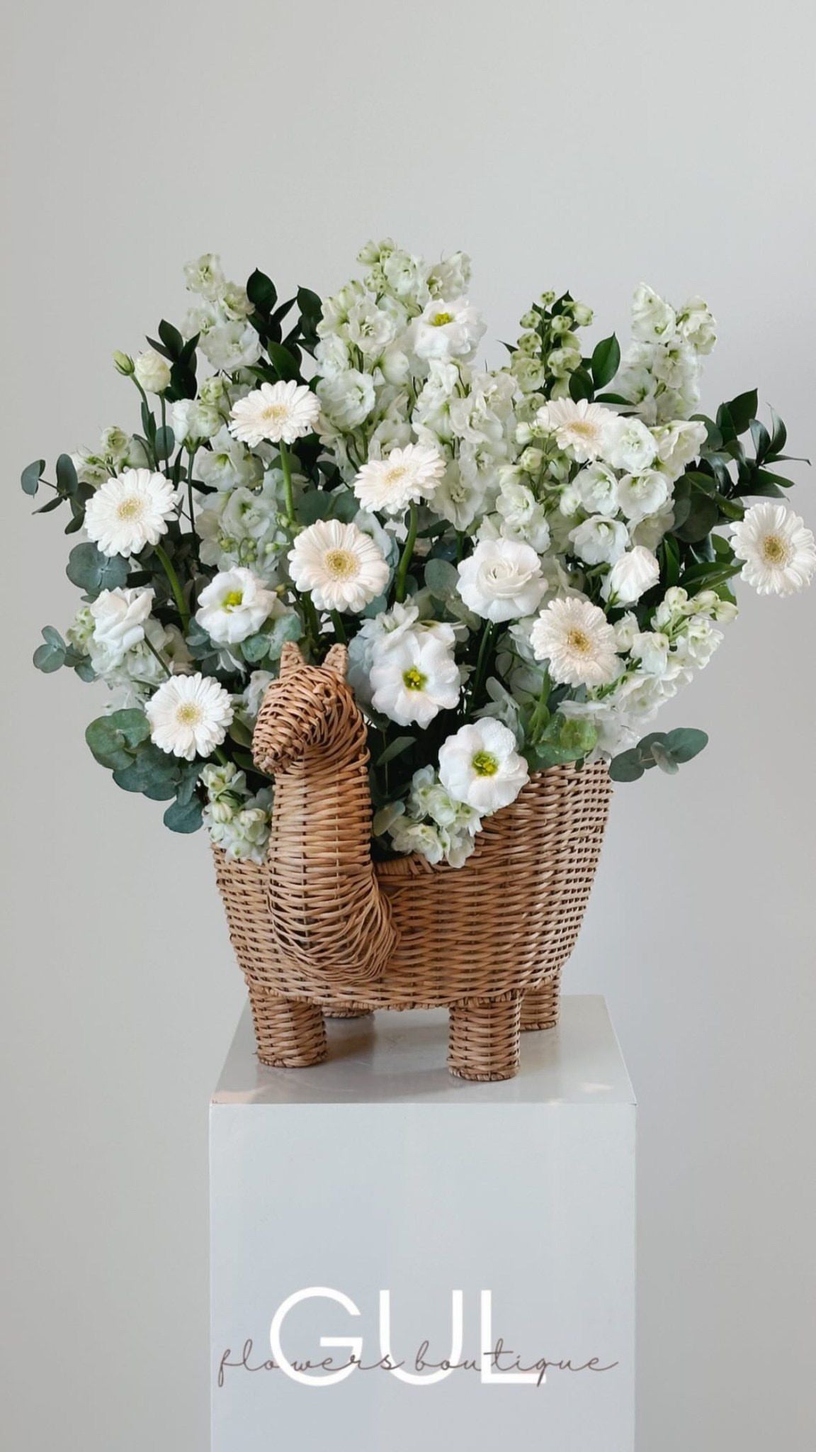 Elegant Simplicity